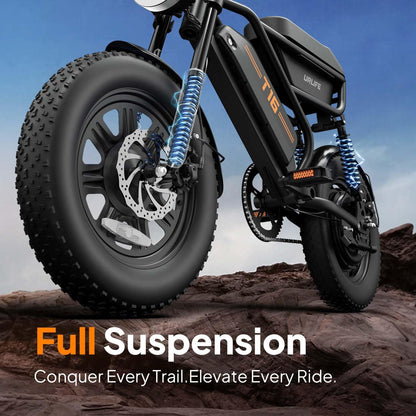Fat Tire Electric Bike for Adults, 48V 13Ah Removable Battery, 250W Brushless Motor E-Bike with Dual Suspension