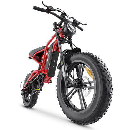 20" Fat Tire Electric Bike for Adults, 48V 15.6Ah Removable Battery, 80KM Range, 7-Speed E-Bike with Dual Suspension