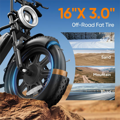 Fat Tire Electric Bike for Adults, 48V 13Ah Removable Battery, 250W Brushless Motor E-Bike with Dual Suspension